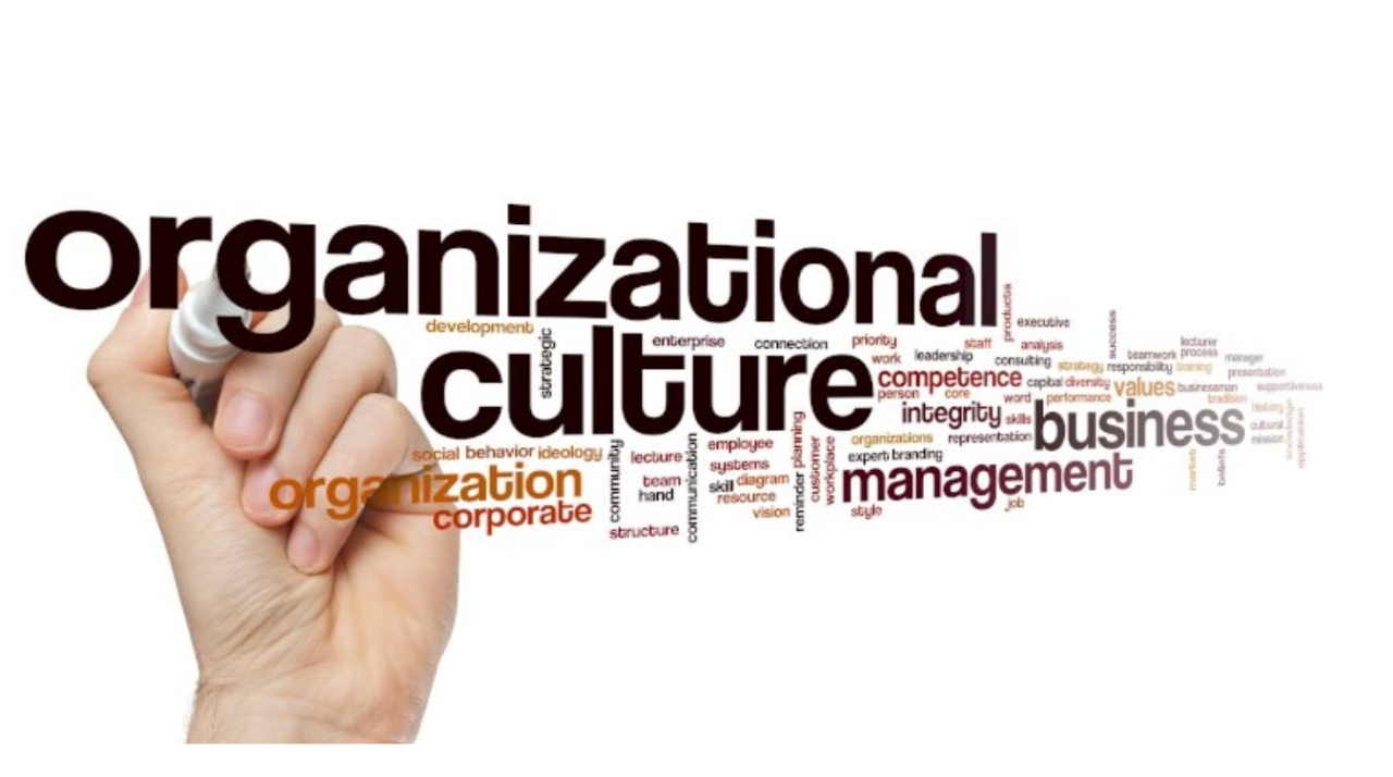 ثقافة المنظمة
